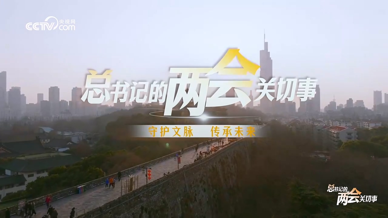 總書記的兩會關切事｜守護文脈 傳承未來-國際在線.mp4_20250307_144246.462.jpg
