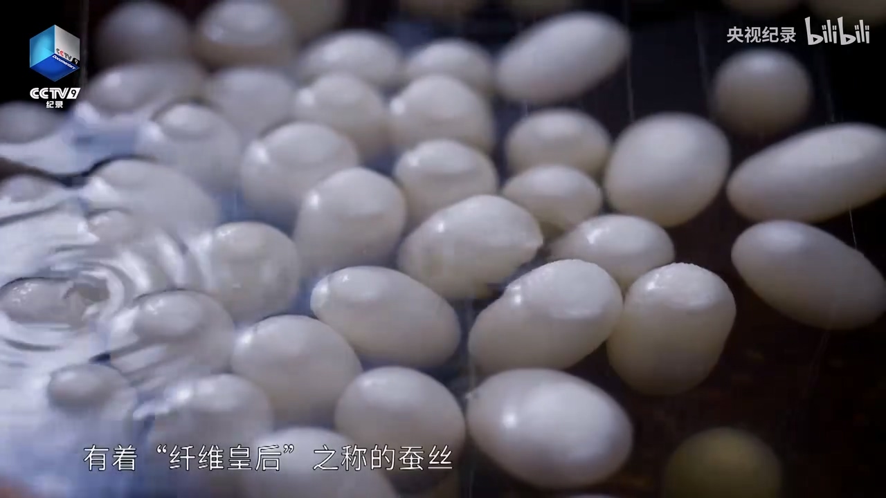 為何蠶絲制作的五星紅旗能登上月球？.mp4_20250529_151703.054.jpg
