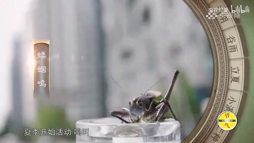 為何古人認為立夏三候與陰陽轉換有關？.mp4_20250529_151747.653.jpg