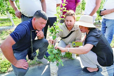 弘揚“中國-中亞精神”，推進共同現代化
